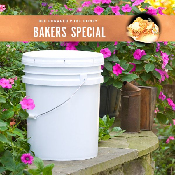 Bakers Special Honey Pail