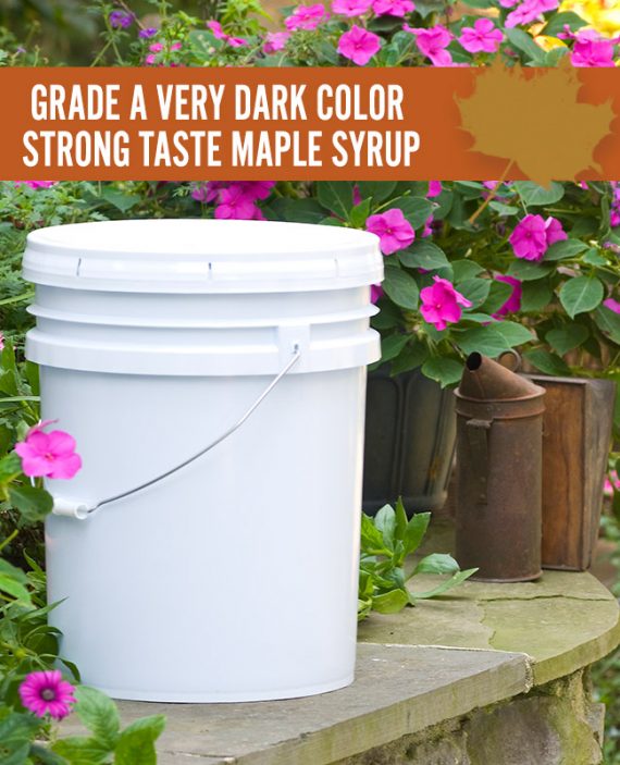 Very Dark Color Strong Taste Maple Syrup Pail